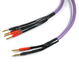 Câbles haut-parleurs Bi-Wire 1,5 mm2 Violet