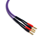 Câbles haut-parleur 1,5 mm2 Violet